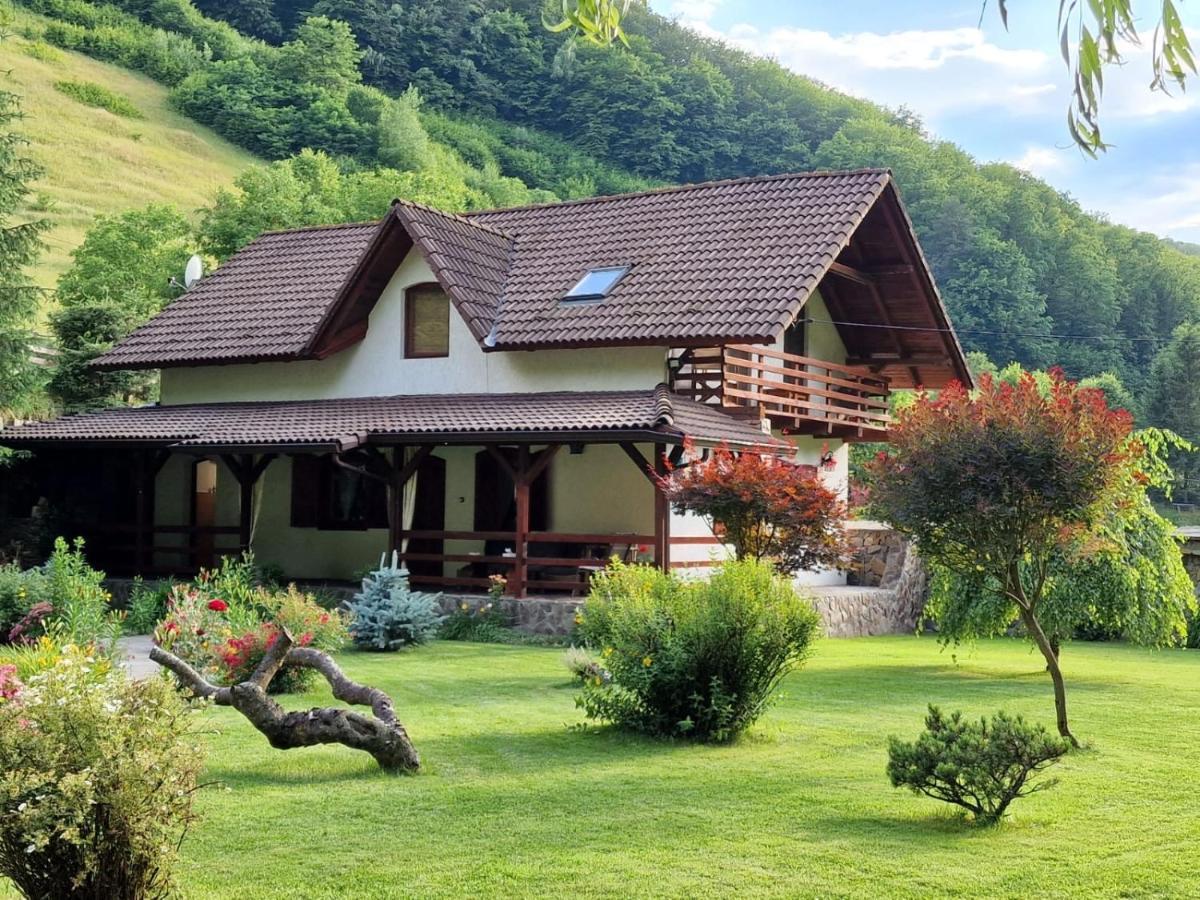 Casa De Piatra Villa Strungari Dış mekan fotoğraf