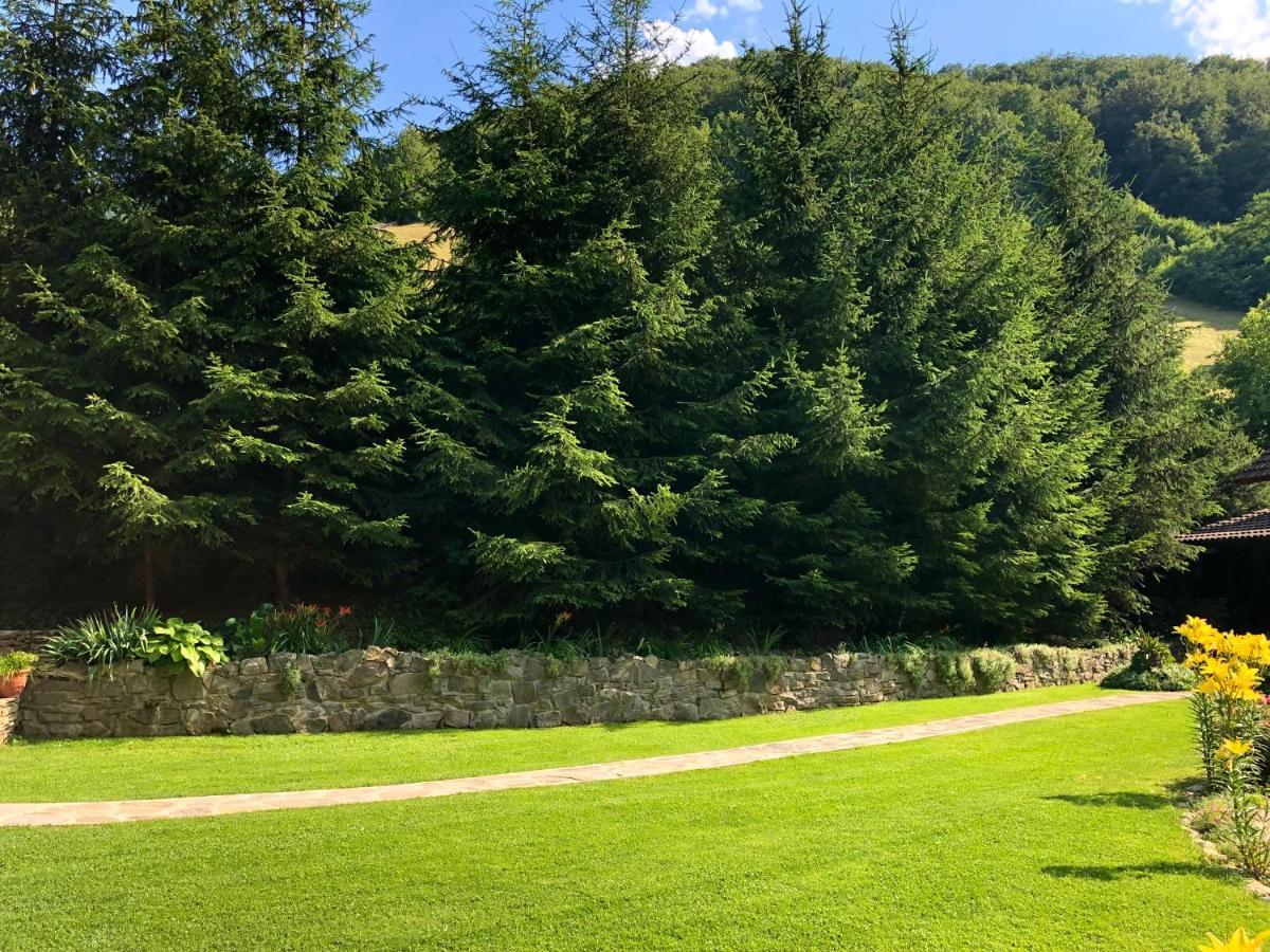 Casa De Piatra Villa Strungari Dış mekan fotoğraf