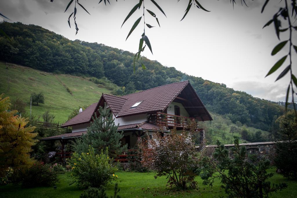 Casa De Piatra Villa Strungari Dış mekan fotoğraf